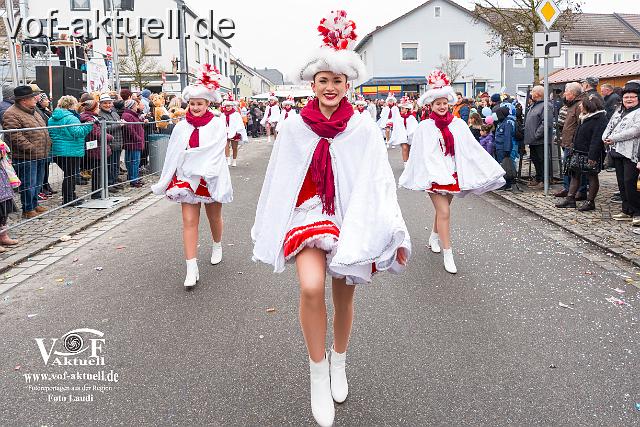 Foto Laudi_faschingszug_pleinting-99.jpg